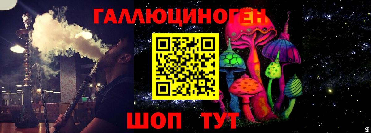 Вичуга  Псилоцибиновые грибы GOLDEN TEACHER  Вход с VPN 